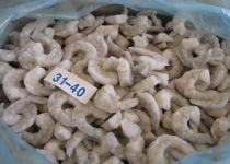 冷凍冰鮮品招商 攜手共贏，開(kāi)啟海鮮財(cái)富新篇章