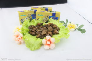 海鮮產(chǎn)品圖片專題 鮮香誘人，一鍵下載海鮮組合裝視覺(jué)盛宴